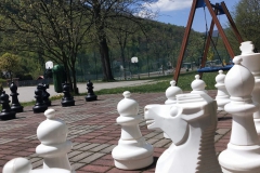 Ogrodowa szachownica