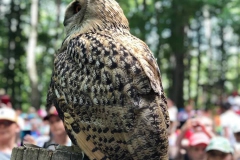 Leśny Park Niespodzianek - przykładowa wycieczka autokarowa